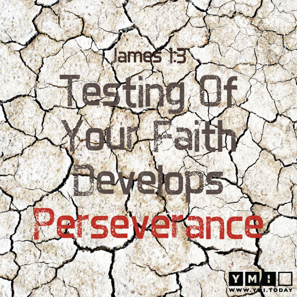 YMI Typography - Testing of your faith develops perseverance. - James 1:3