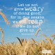 YMI Typography - Let us not grow weary of doing good, for in due season we will reap if we do not give up. - Galatians 6:9