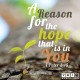 YMI Typography - A reason for the hope that is in You. - 1 Peter 3:15
