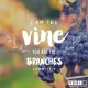 YMI Typography - I am the vine; you are the branches. - John 15:5