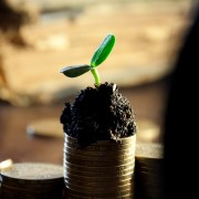 Plant sprouting - when money is never enough
