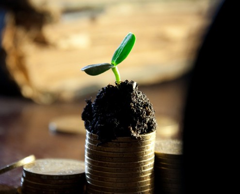 Plant sprouting - when money is never enough