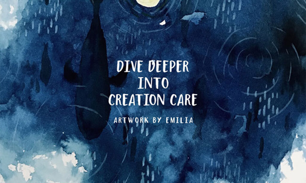 Image of whales dive deeper into creation care