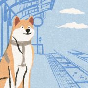 image of a shiba inu dog waiting patiently in a station