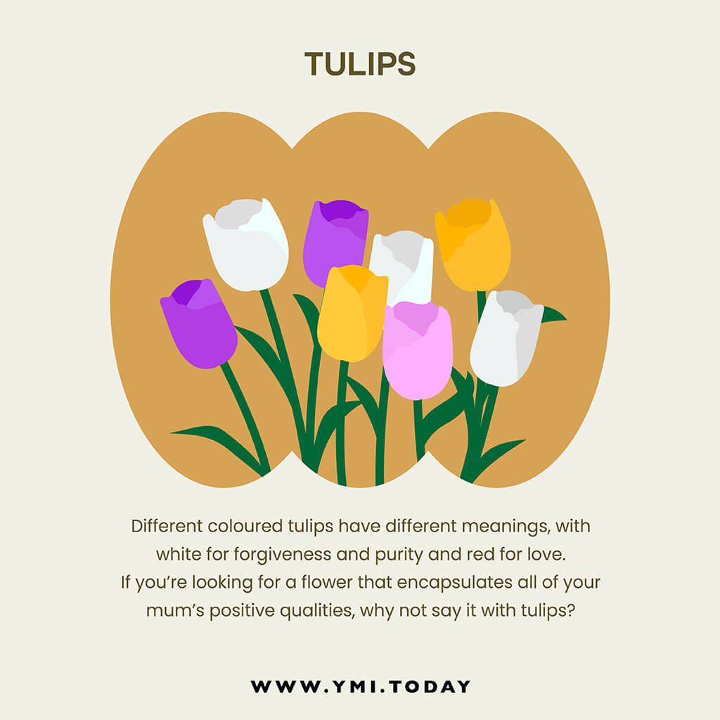 graphic image of tulips