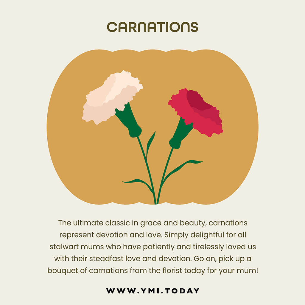 graphic image of carnations
