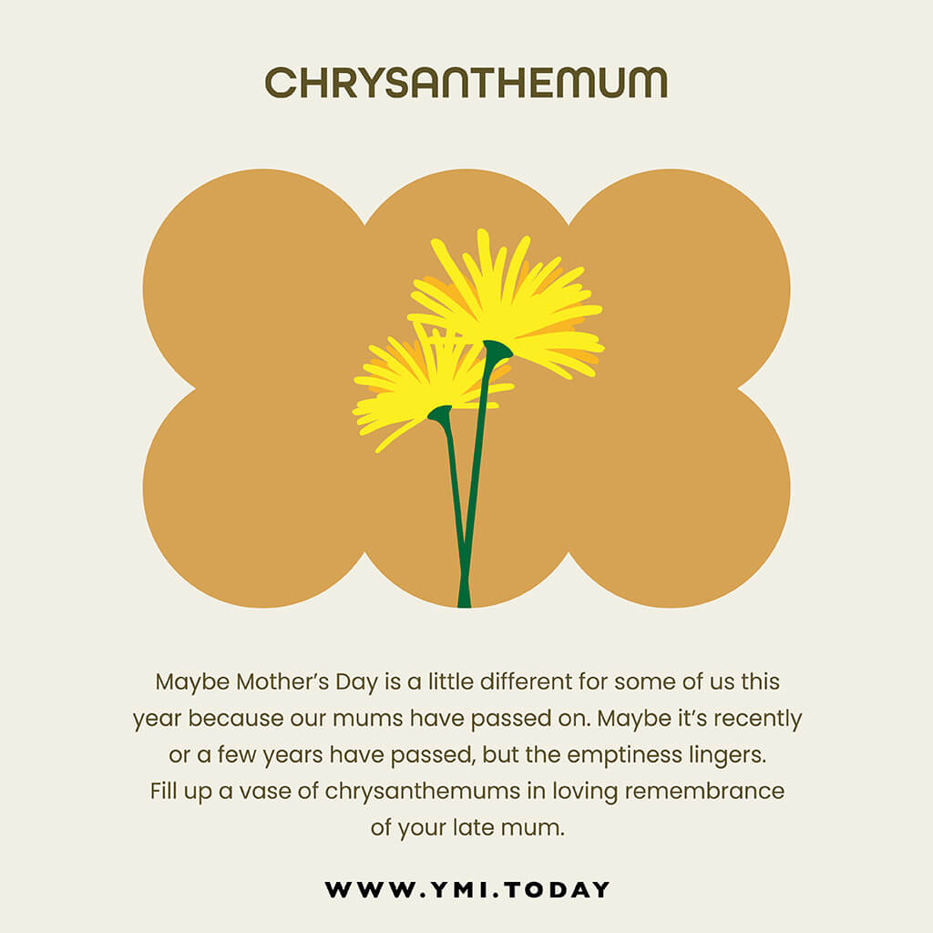 graphic image of chrysanthemum