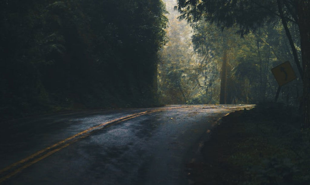 a dark road in jungle